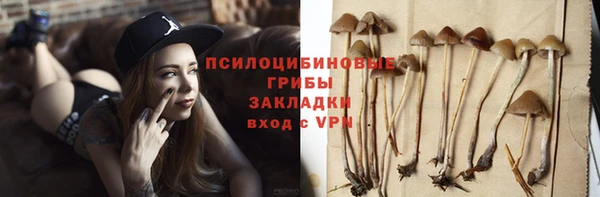 твердый Аша