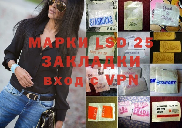 spice Белая Холуница