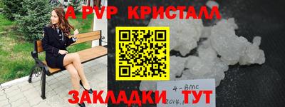 спиды Бийск