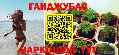 спиды Бийск