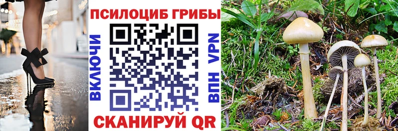 Галлюциногенные грибы мицелий  Добрянка 