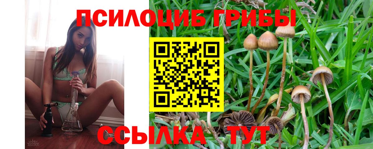 Галлюциногенные грибы прущие грибы Добрянка
