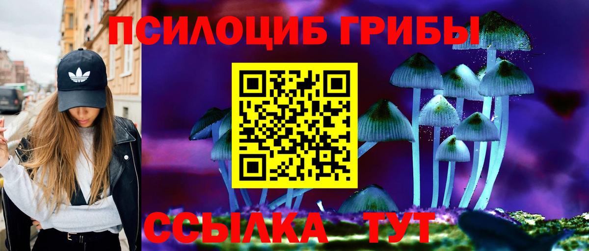 Добрянка  Псилоцибиновые грибы Psilocybine cubensis  Вход с VPN 